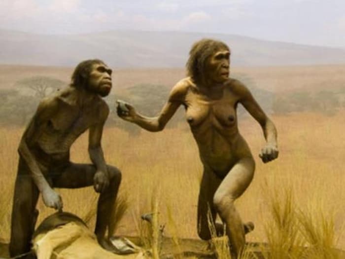 Surprise du 31 Mars 1 homo erectus