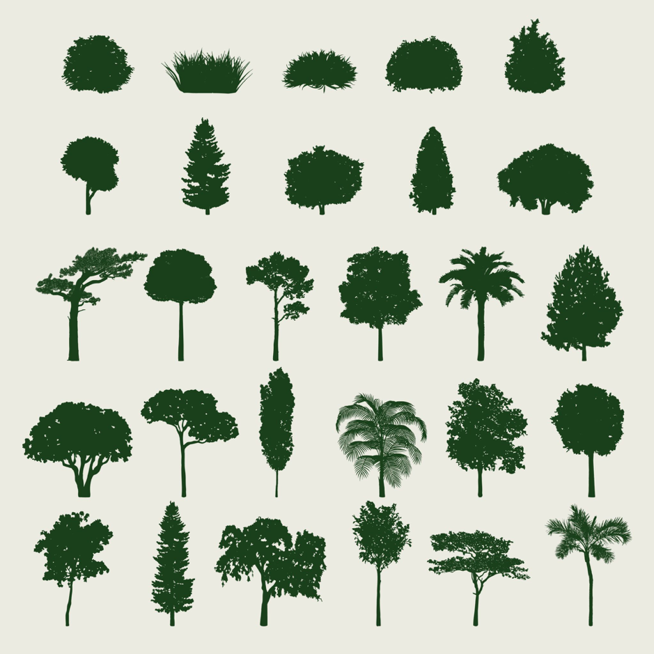 Surprise du 23 Mars 1 les arbres