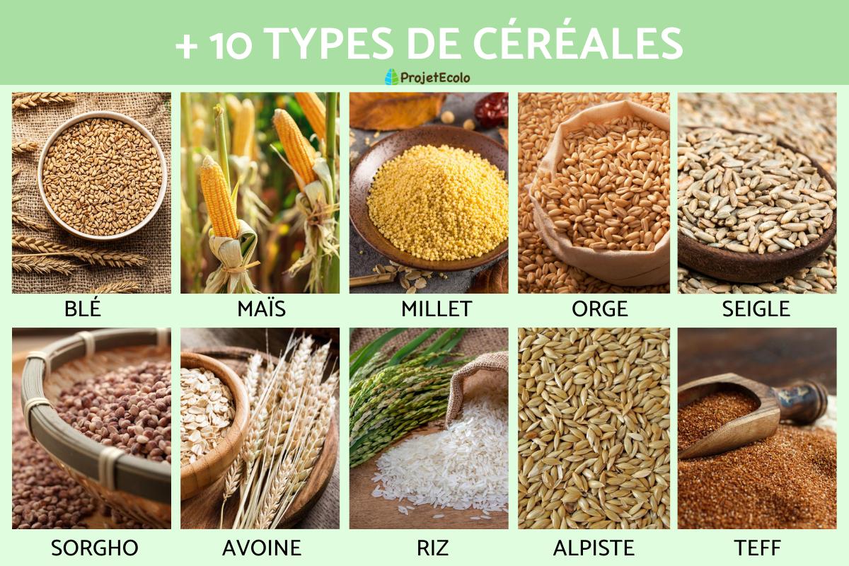 Surprise du 19 Mars 1 types de cereales