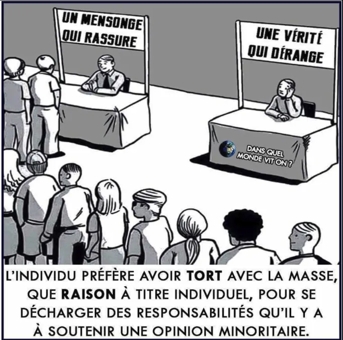 Perle de sagesse 5 1 lucidité